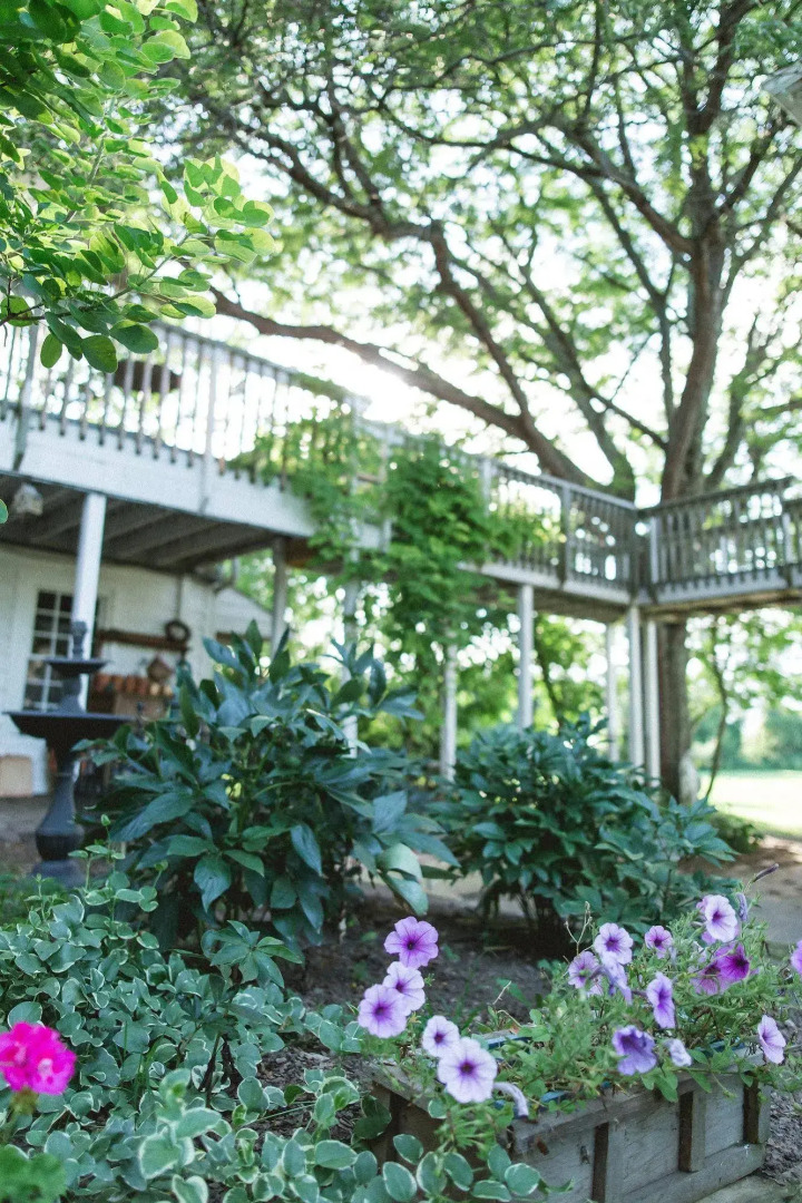 Orchard House Bed and Breakfast