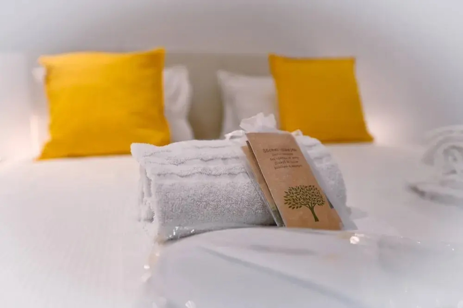 Sunny Suite With Lake View