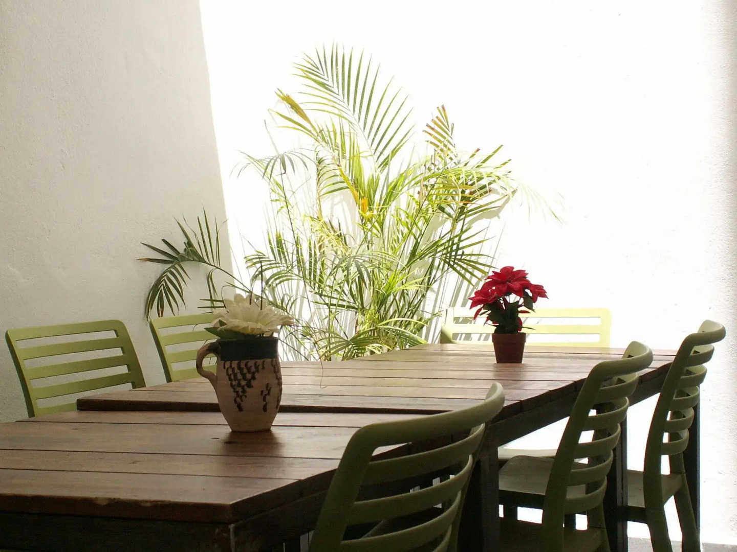 Oasis Backpackers Hostel Malaga