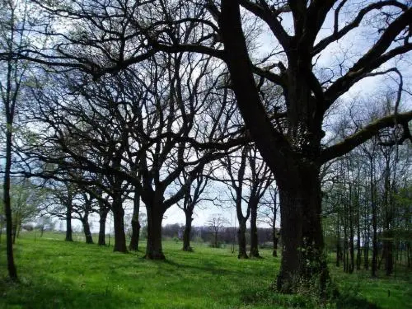 Sárberki Horgásztó