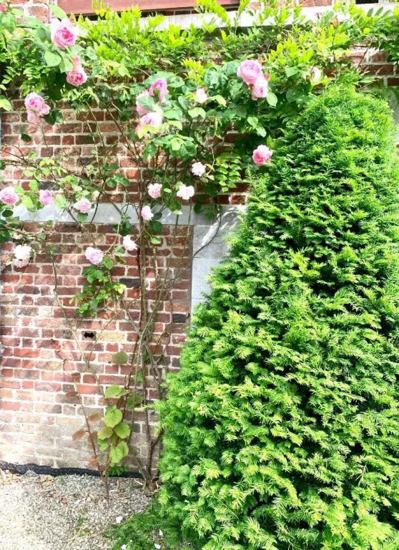 Studio - Tour d'HÉLOÏSE - 10' de Bruxelles