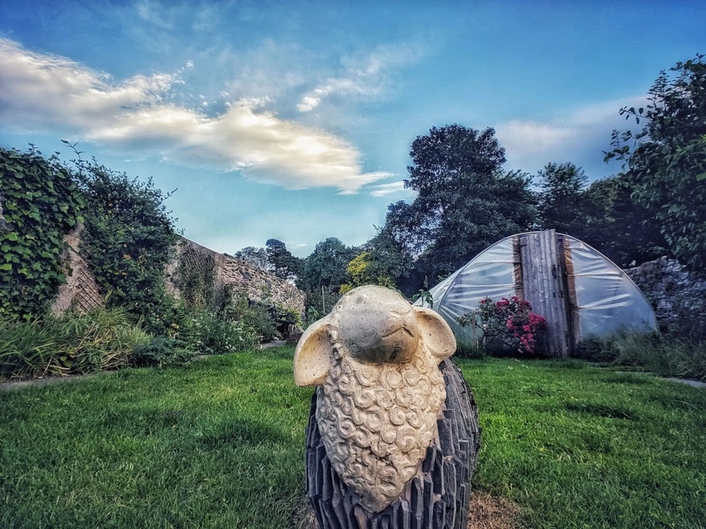 The Black Sheep Hostel