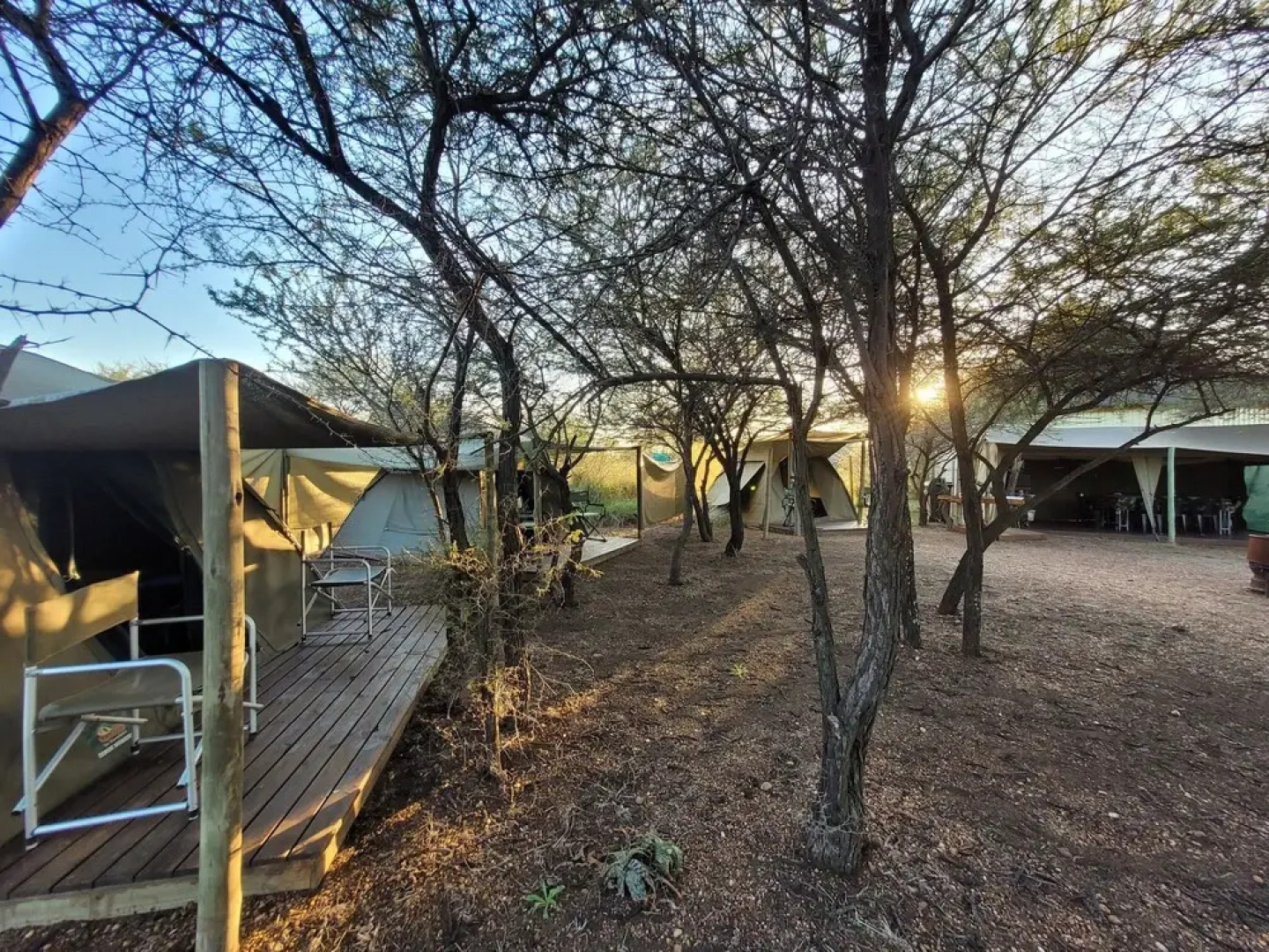 Thorn Tree Bush Camp