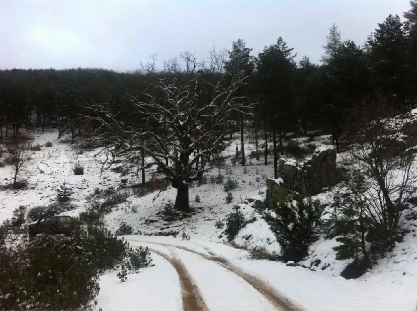 Casa Rural Las Albertas