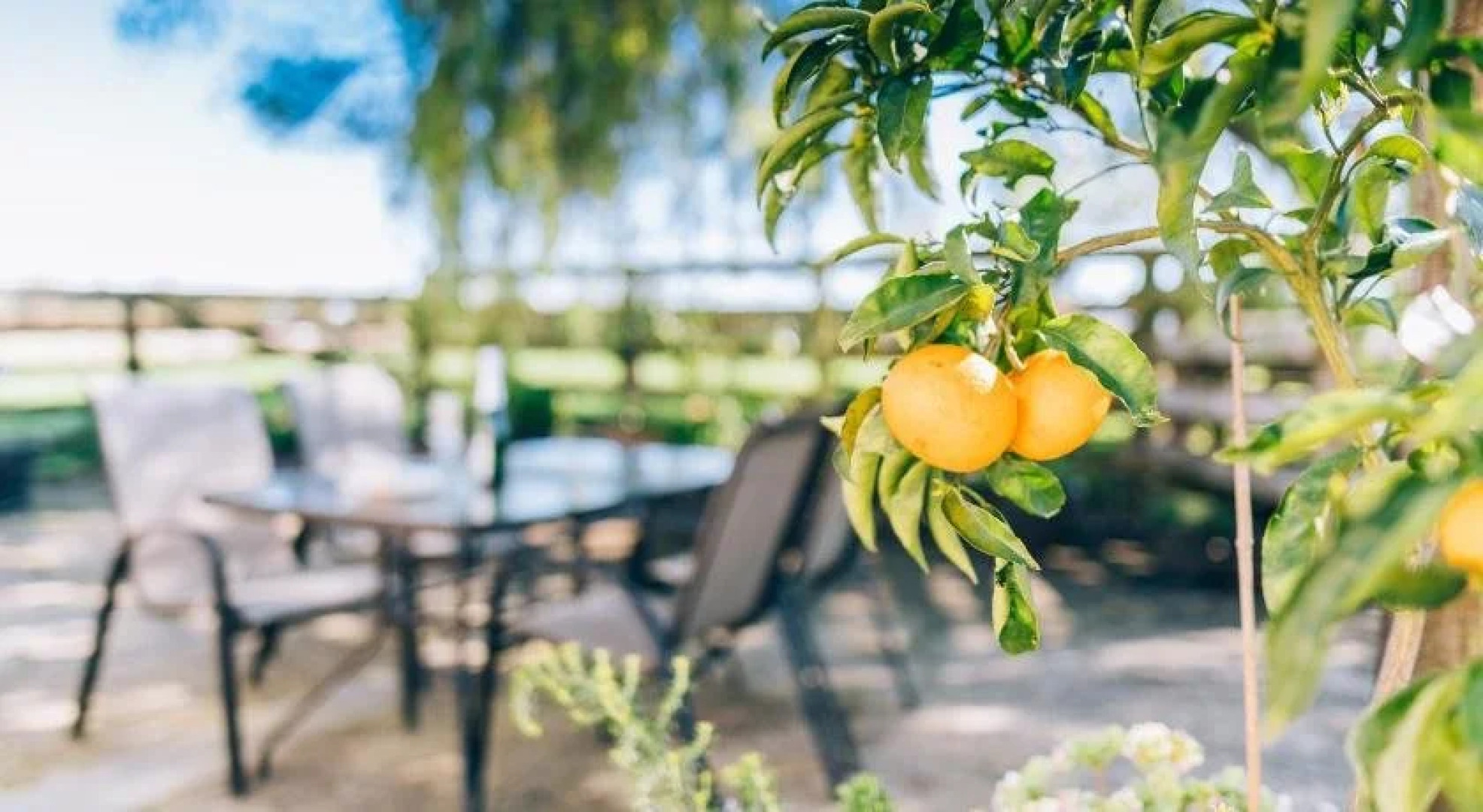 Lexington Park Cottages