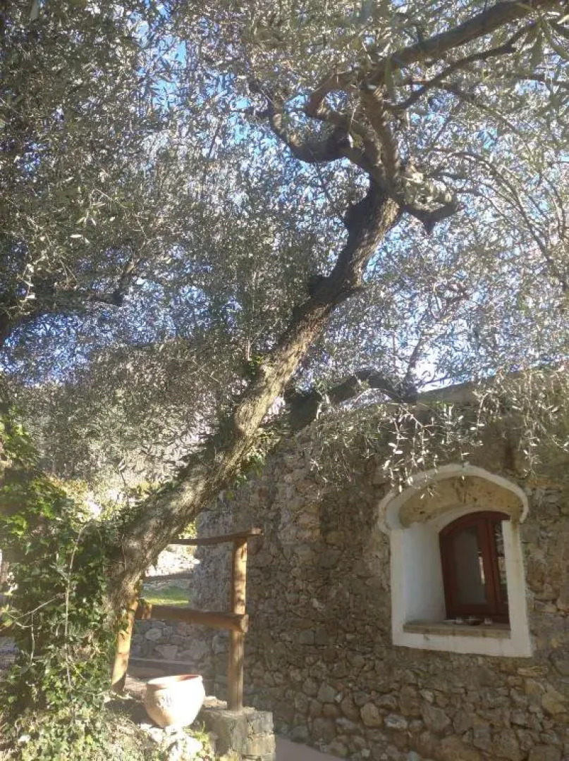 Agriturismo LE CASE ROTTE