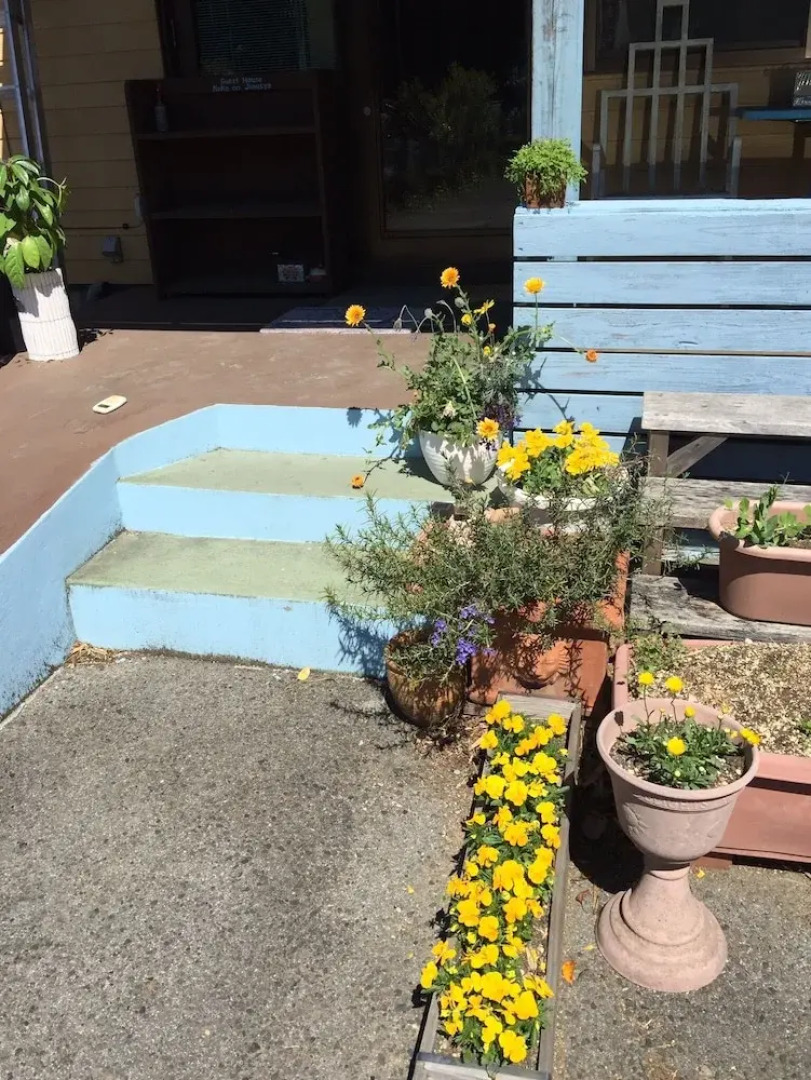 Guesthouse B&B Nekonojimusyo - Hostel, Caters to Women