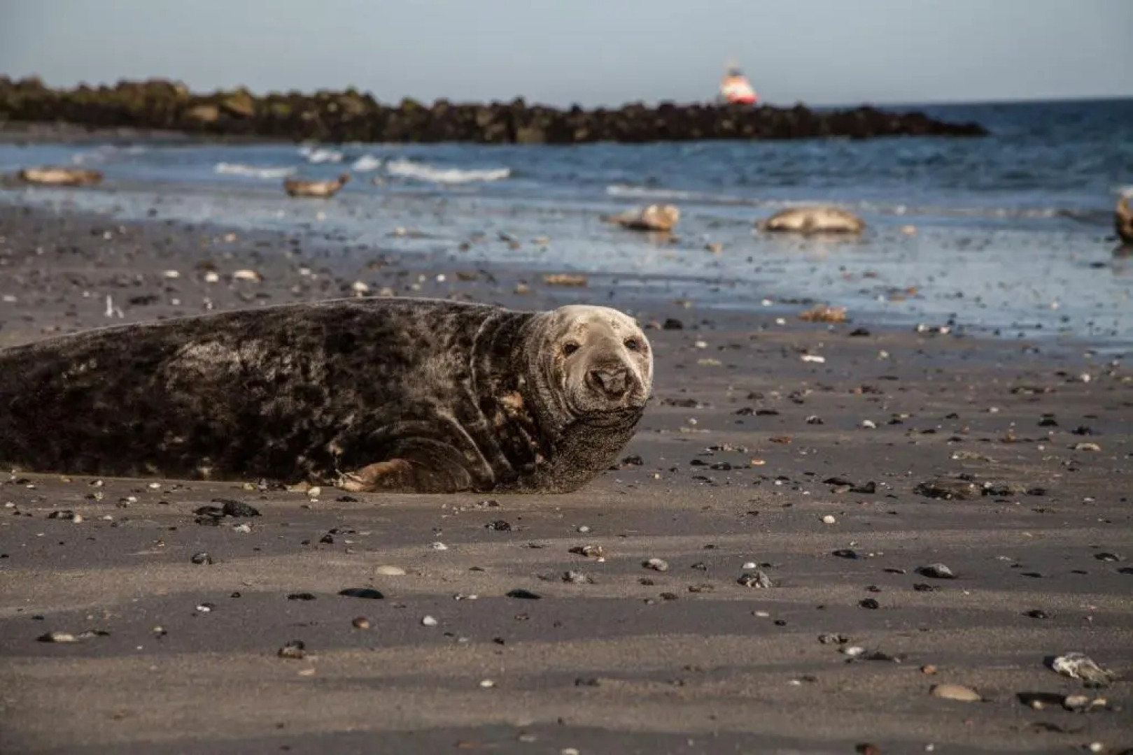 Hotel Stadt Cuxhaven