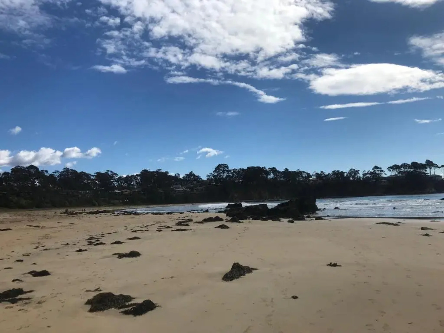 Beach side holiday apartment