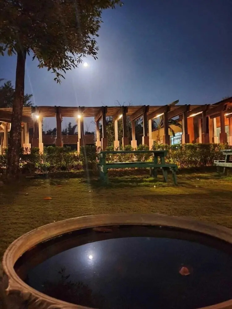 The Celebration Van Vilas