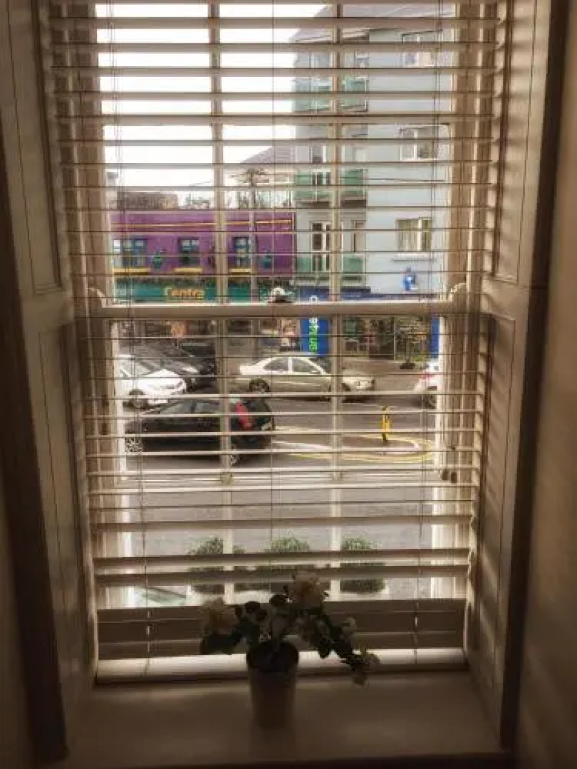 Blackcat (Adults only)