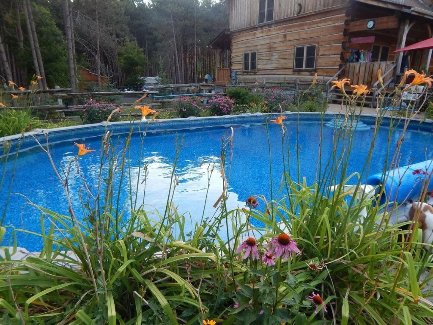 MoonStone Bed and Breakfast