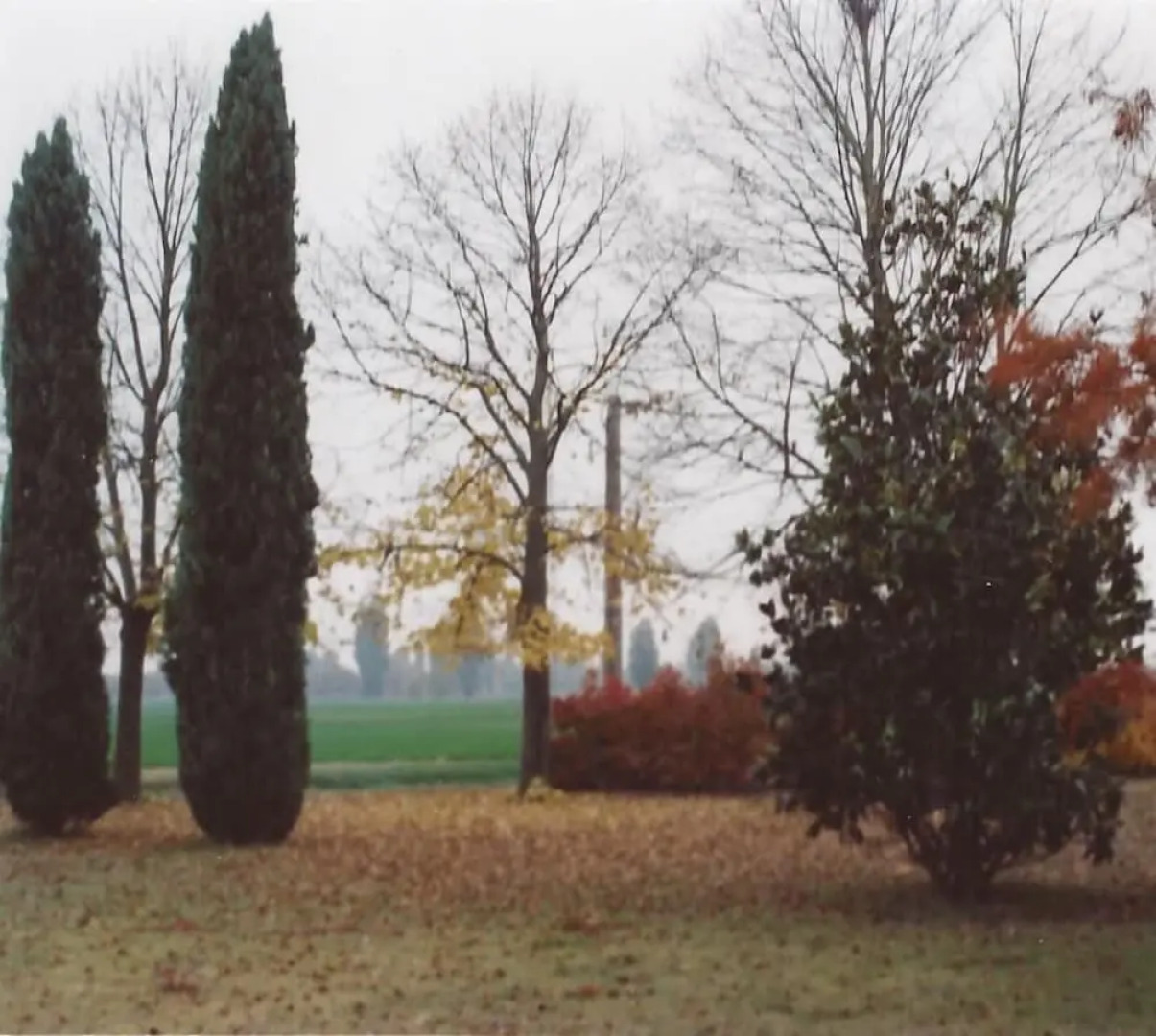 Alla Cedrara agriturismo