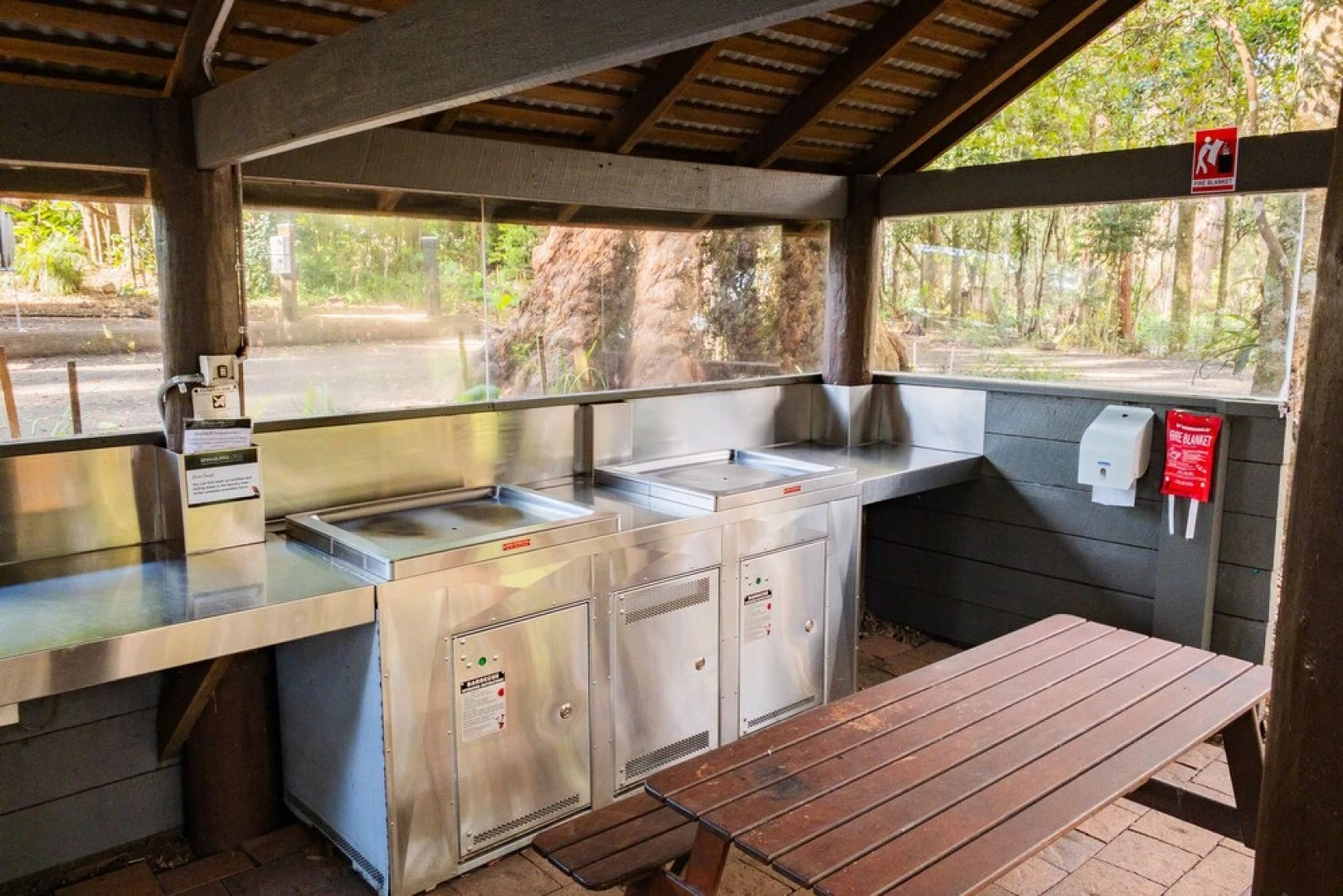 Binna Burra Rainforest Campsite