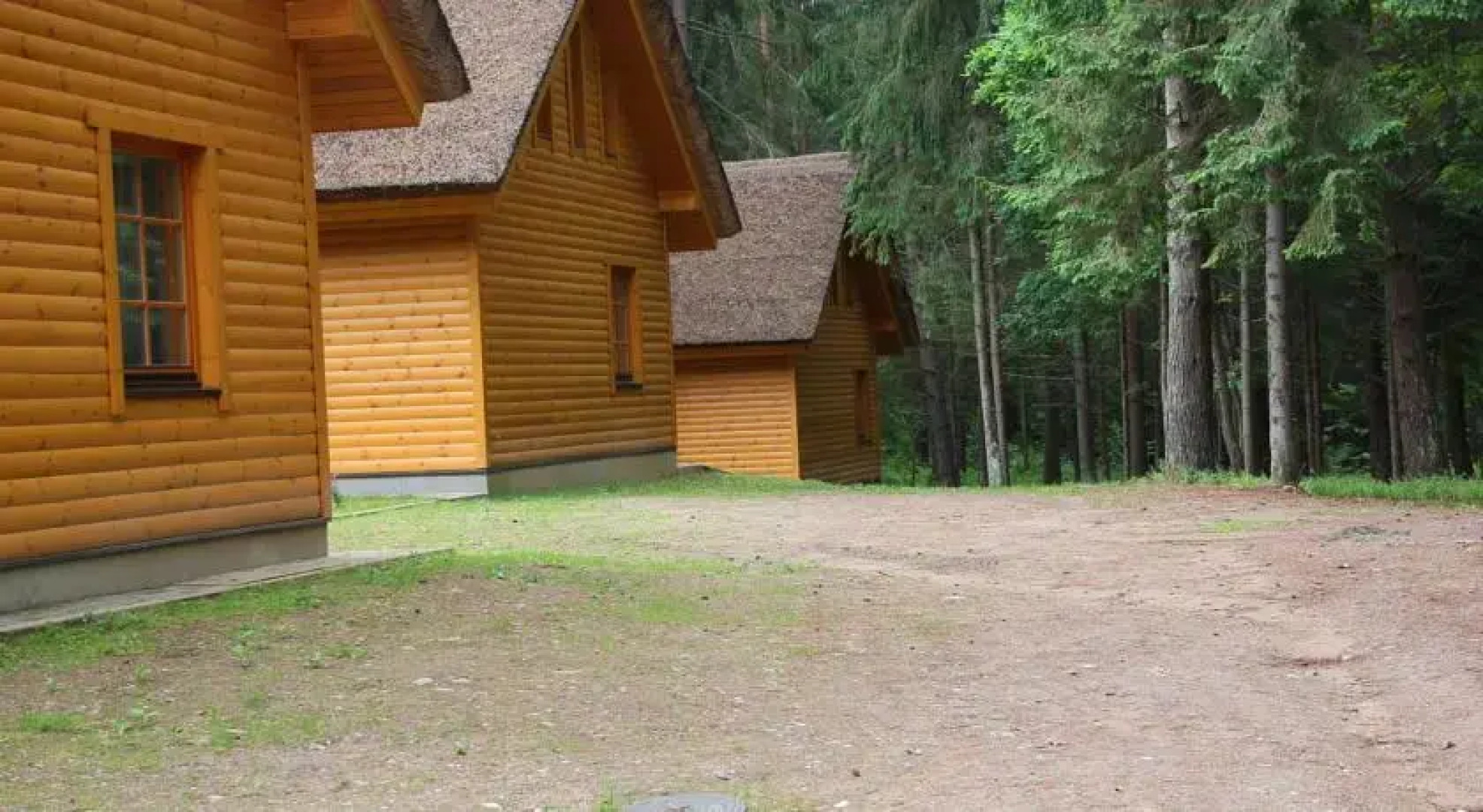 Gudašiai - 5 sezonas