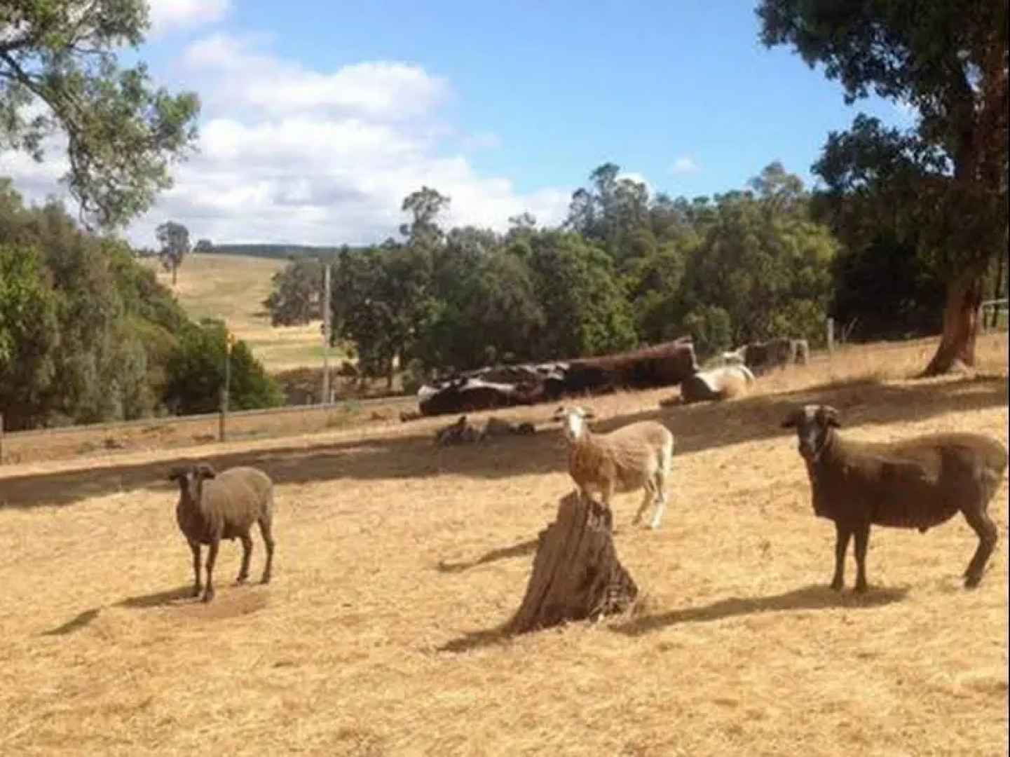 The Green Welly Stop