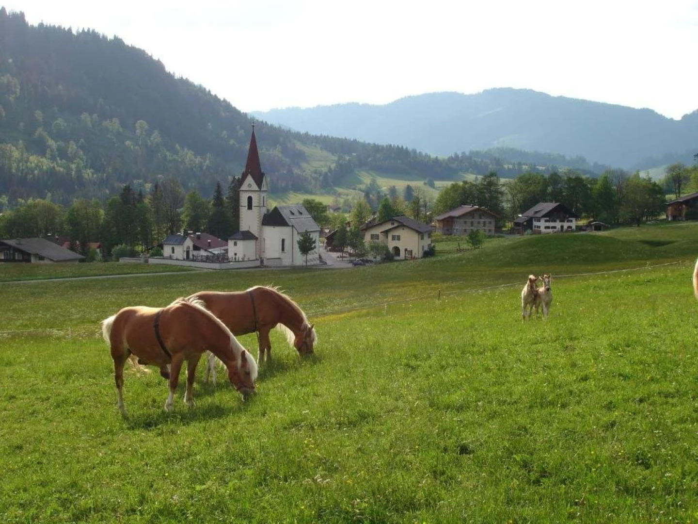 Johann und Heidi Durst Ferienwohnungen