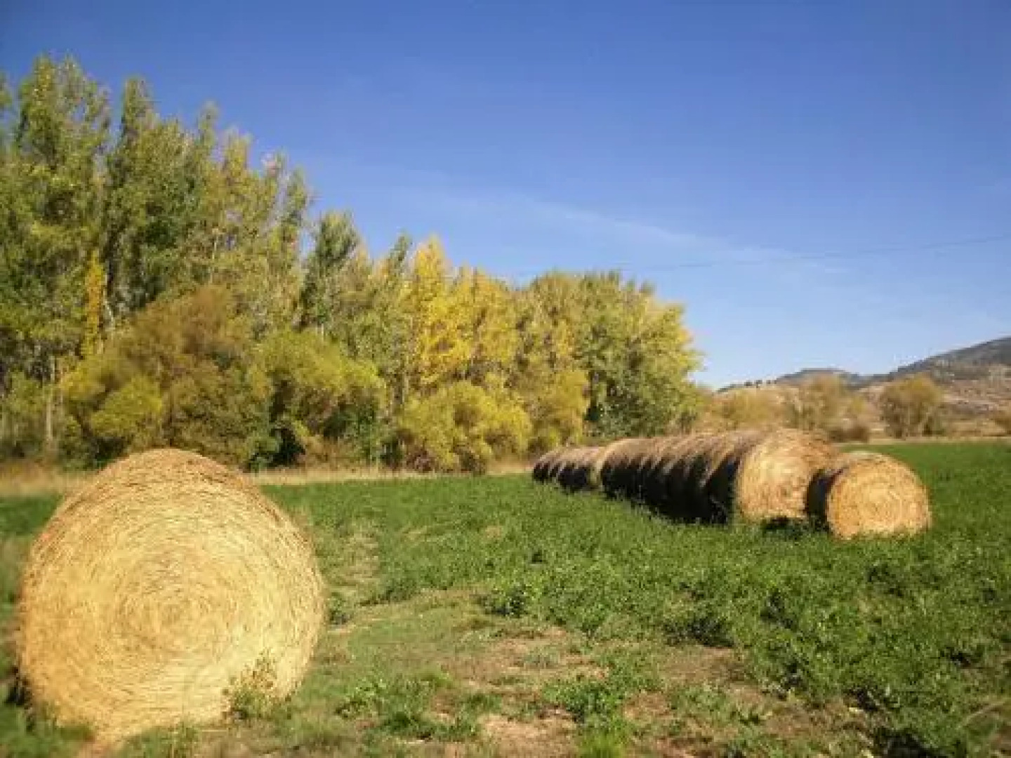 Alcalá de la Selva Apartment