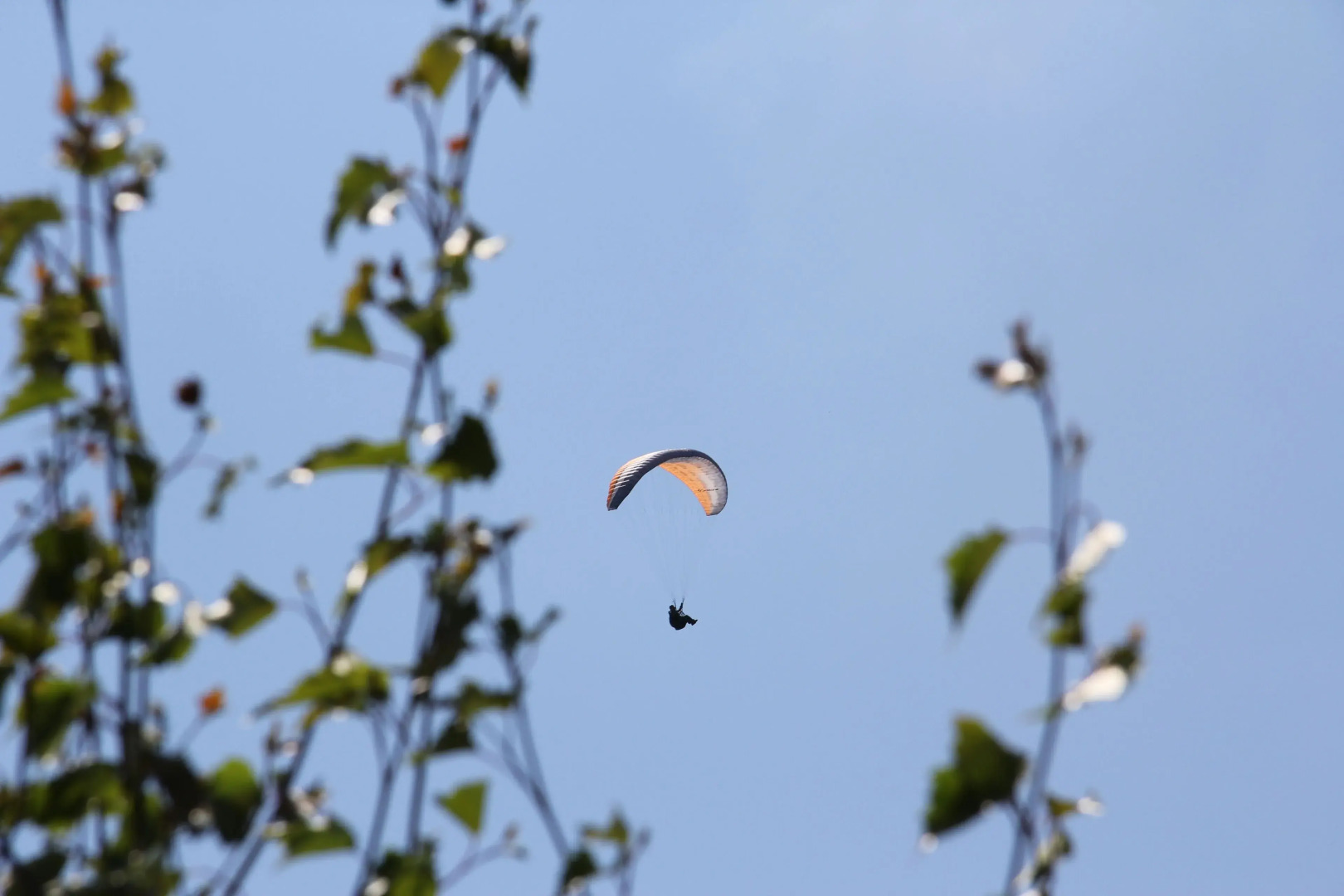 Hotel & Café Mühlenglück