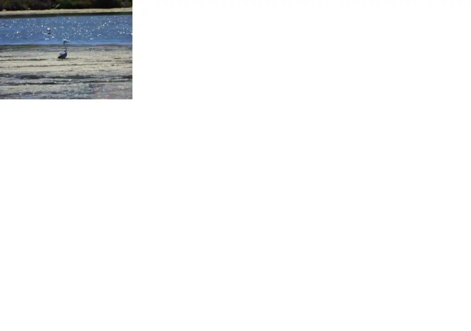 La Petite Maison Au Bord du Canal T2 - 3etoiles -