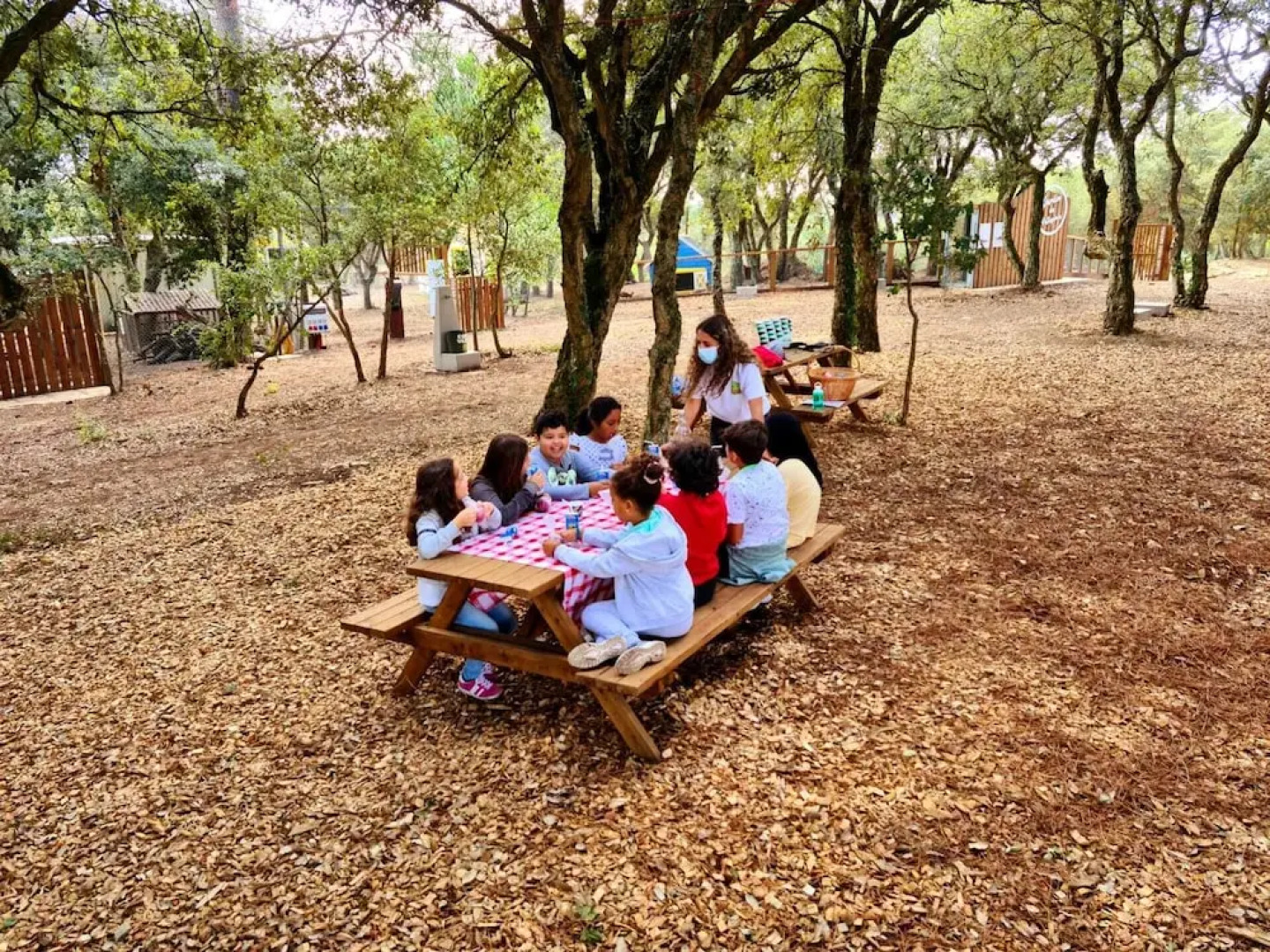 Natura Fun House & Camping