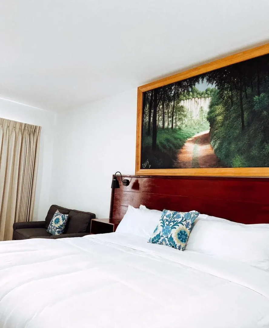 Verdant Hotel & Holistic Experience