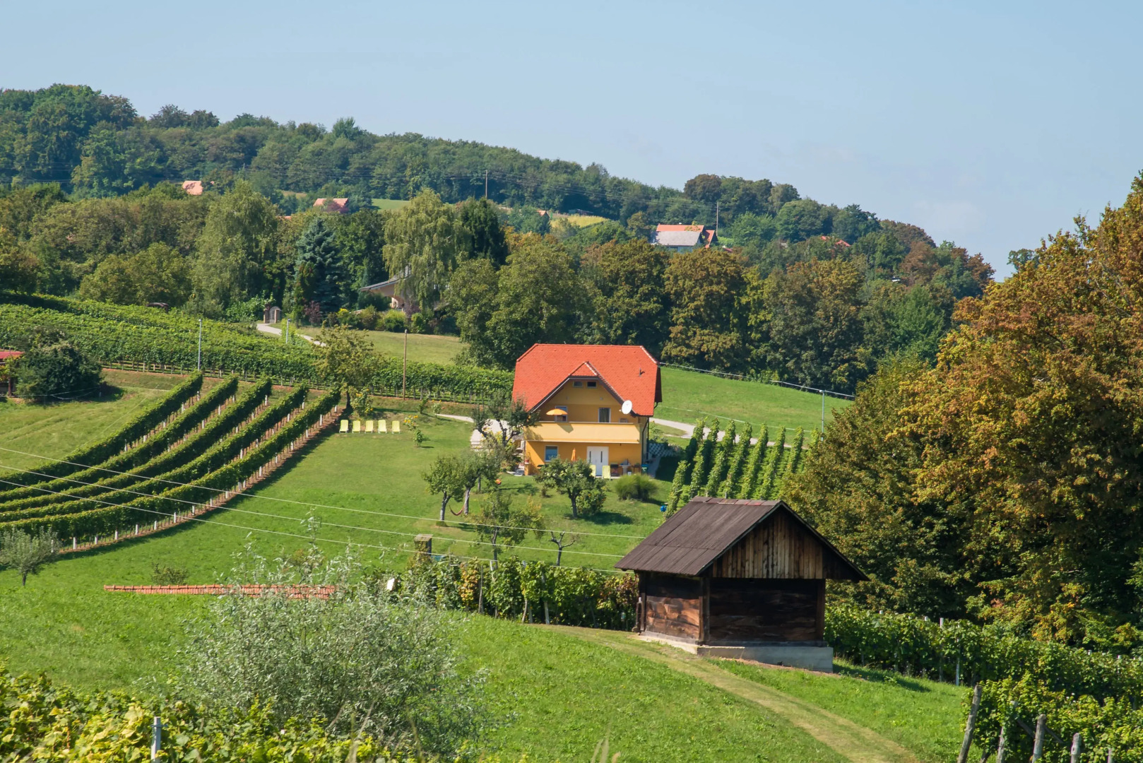 Apartments Vinska Trta