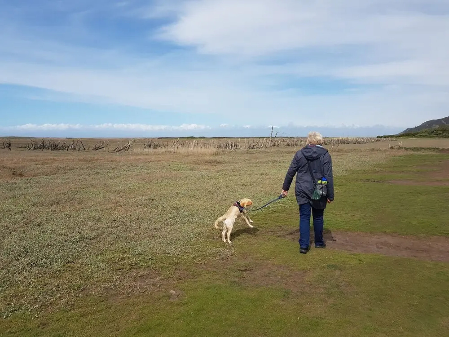 Whortleberry Studio B&B