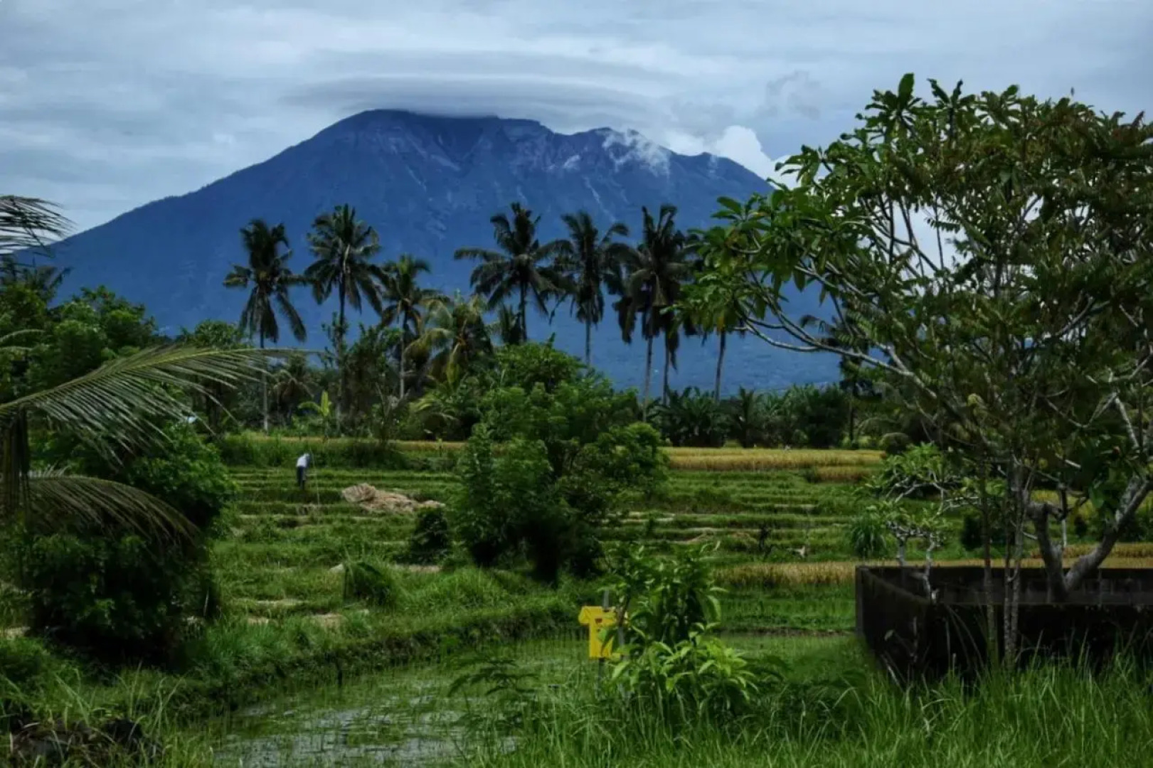 Villa Uma Ayu Sidemen