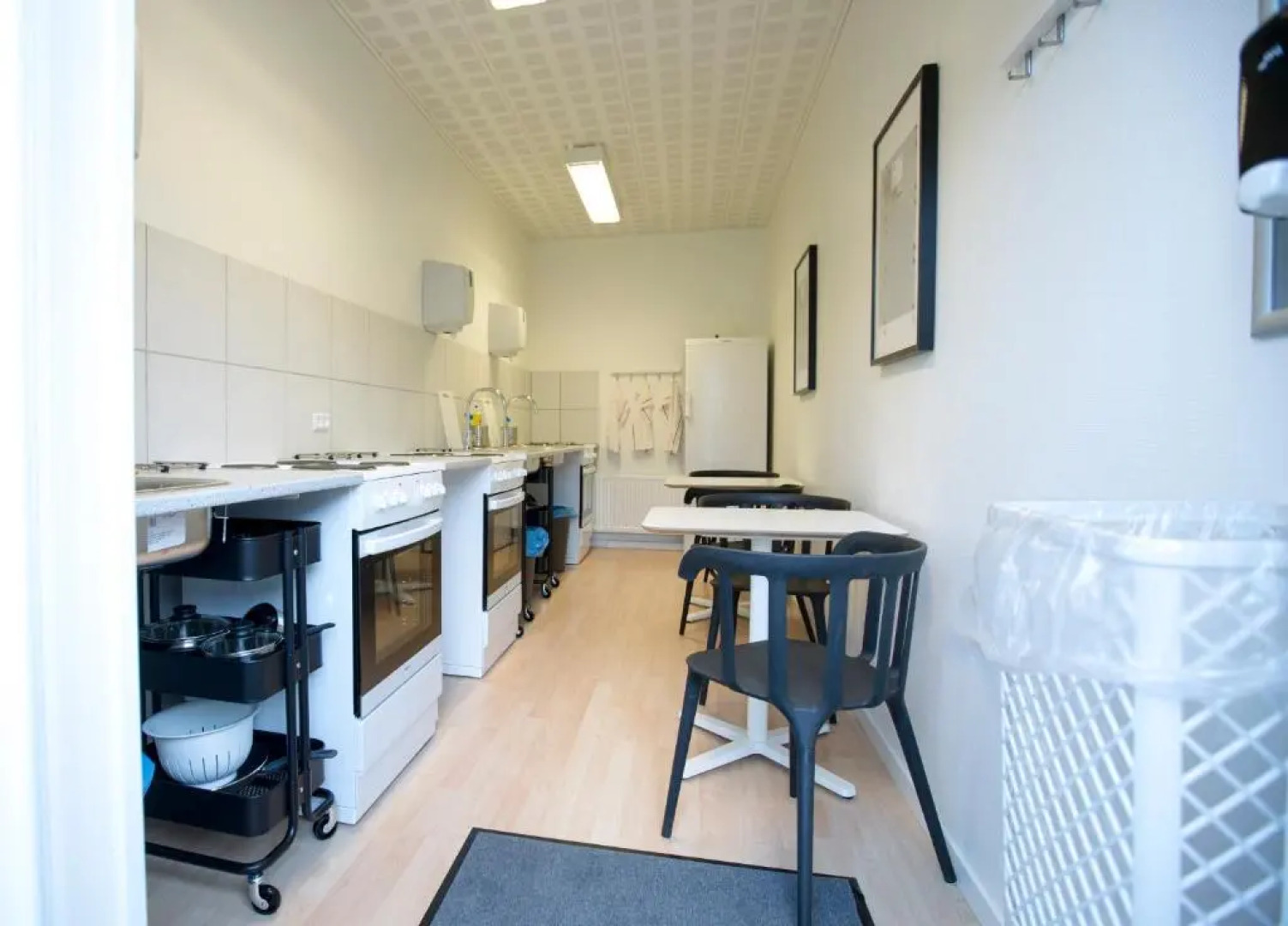 SportsPark Blaavandshuk Resort