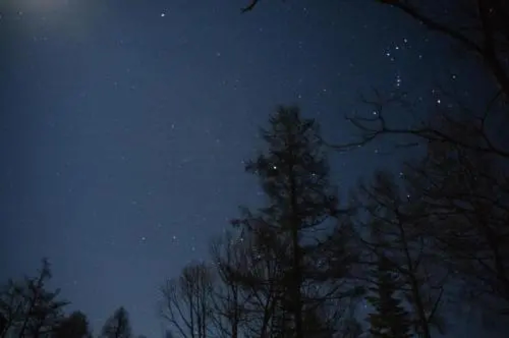 Petit Hotel of Log House Tombouctou