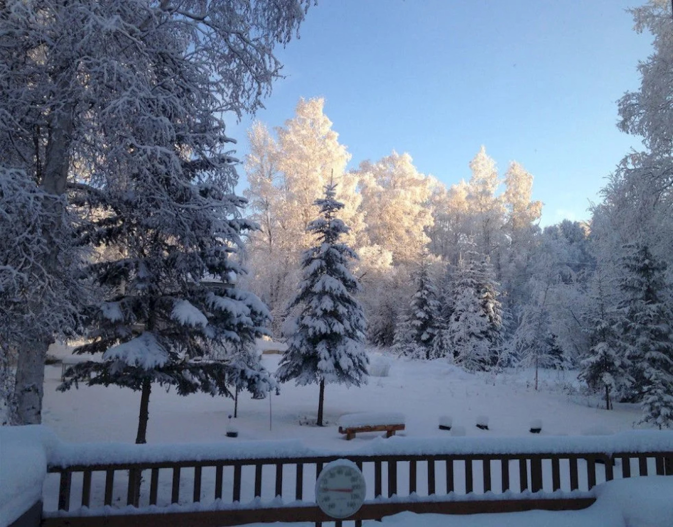 Golden Umbrella Bed and Breakfast