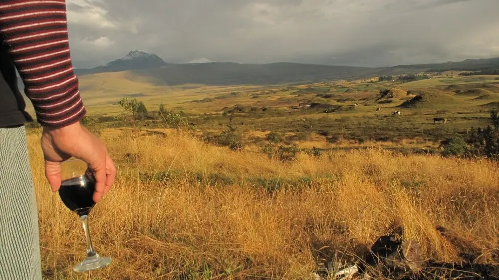The Secret Garden Cotopaxi - Hostel