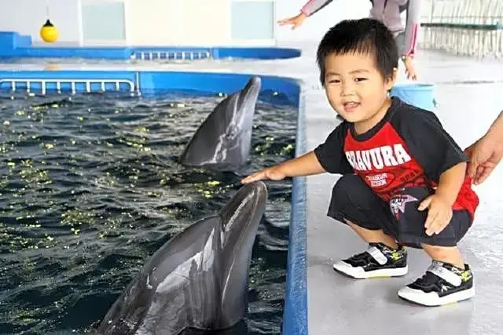 Shibushiwan Daikoku Resort Hotel