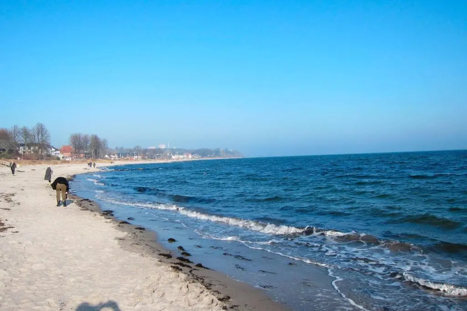 Strandläufer - [#29764]