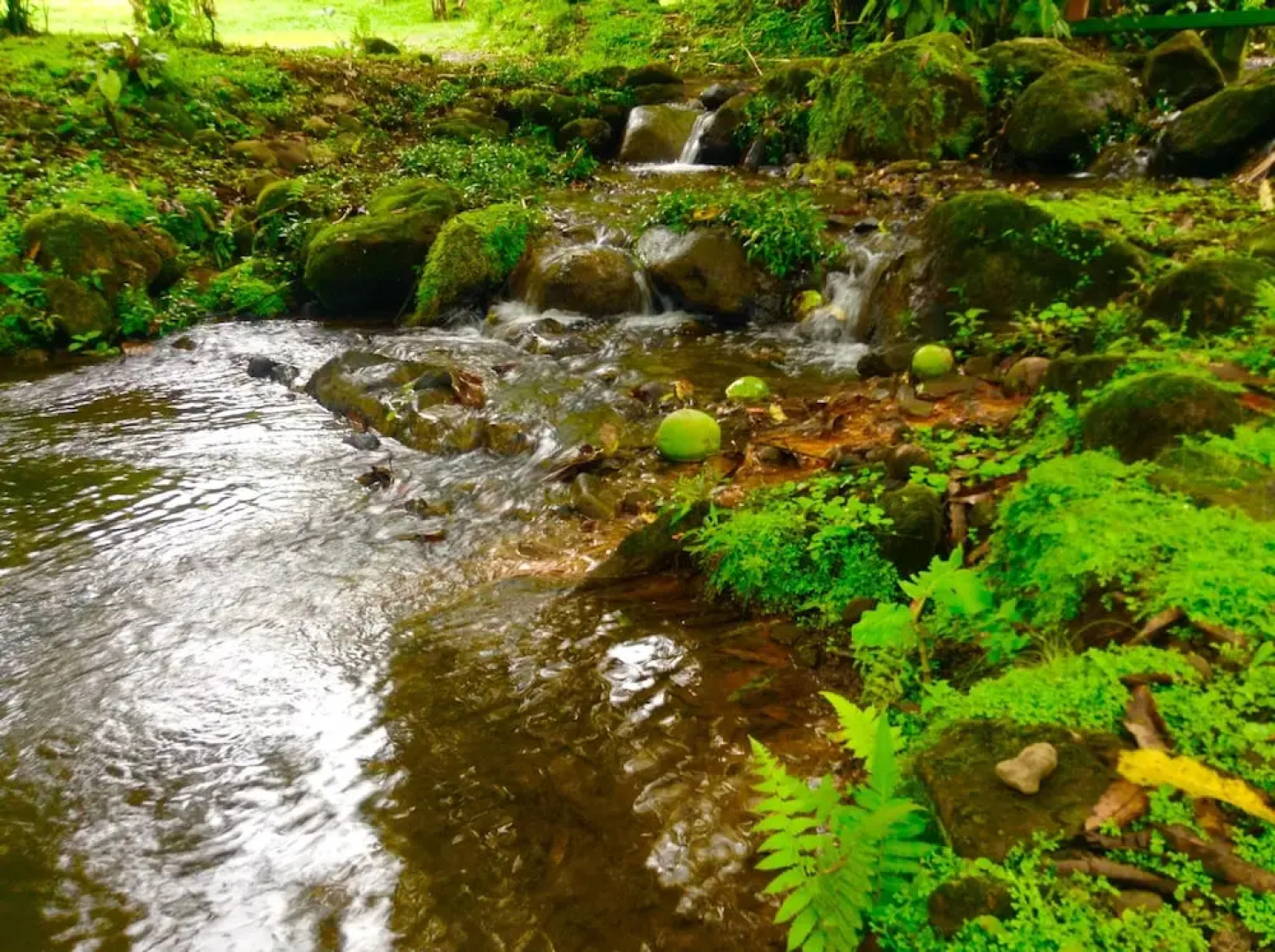 Luxury Familiar Village Greece Forest