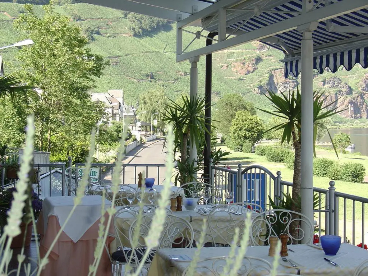 Hotel & Restaurant ZUR TRAUBE