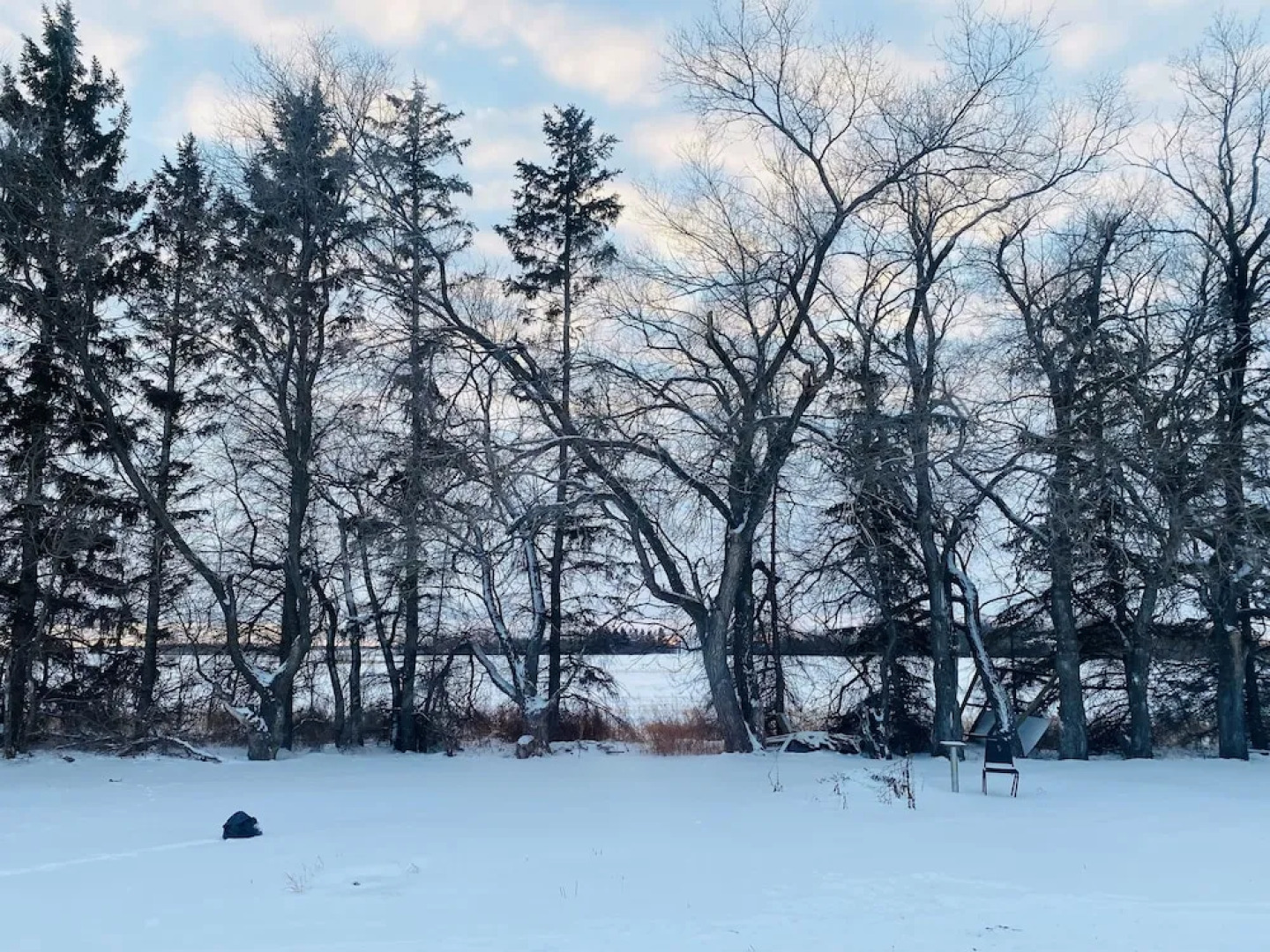 Theodore Motor Hotel