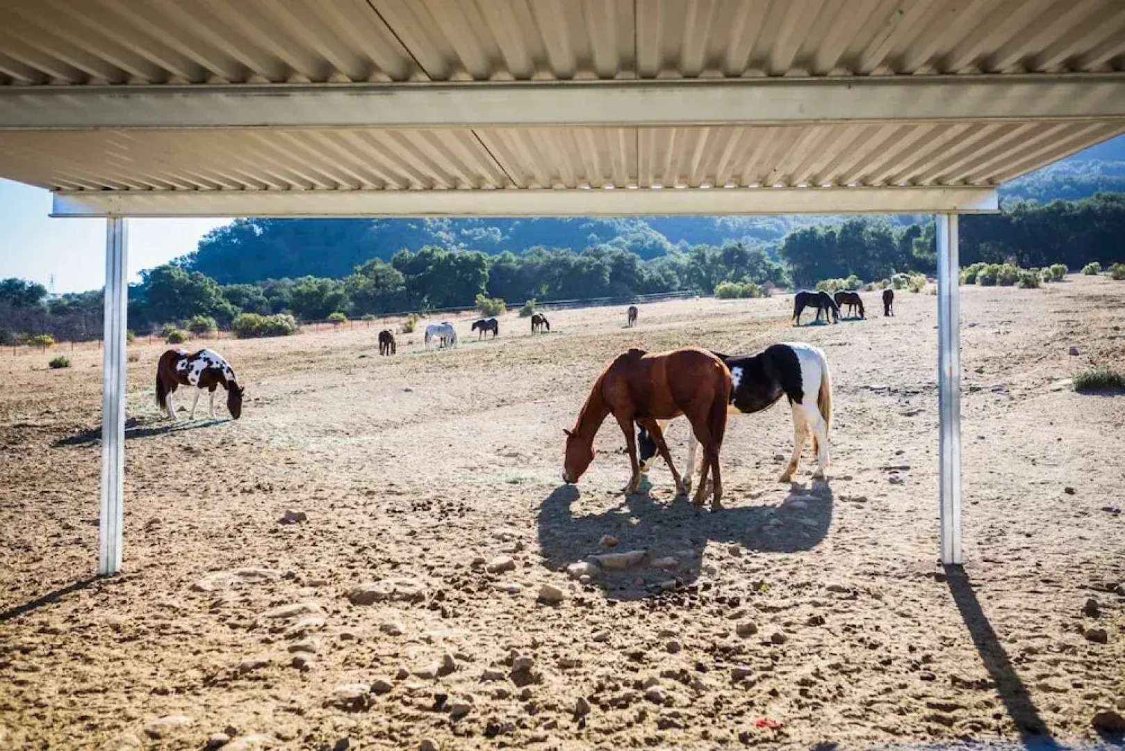 Rancho Oso RV & Camping Resort