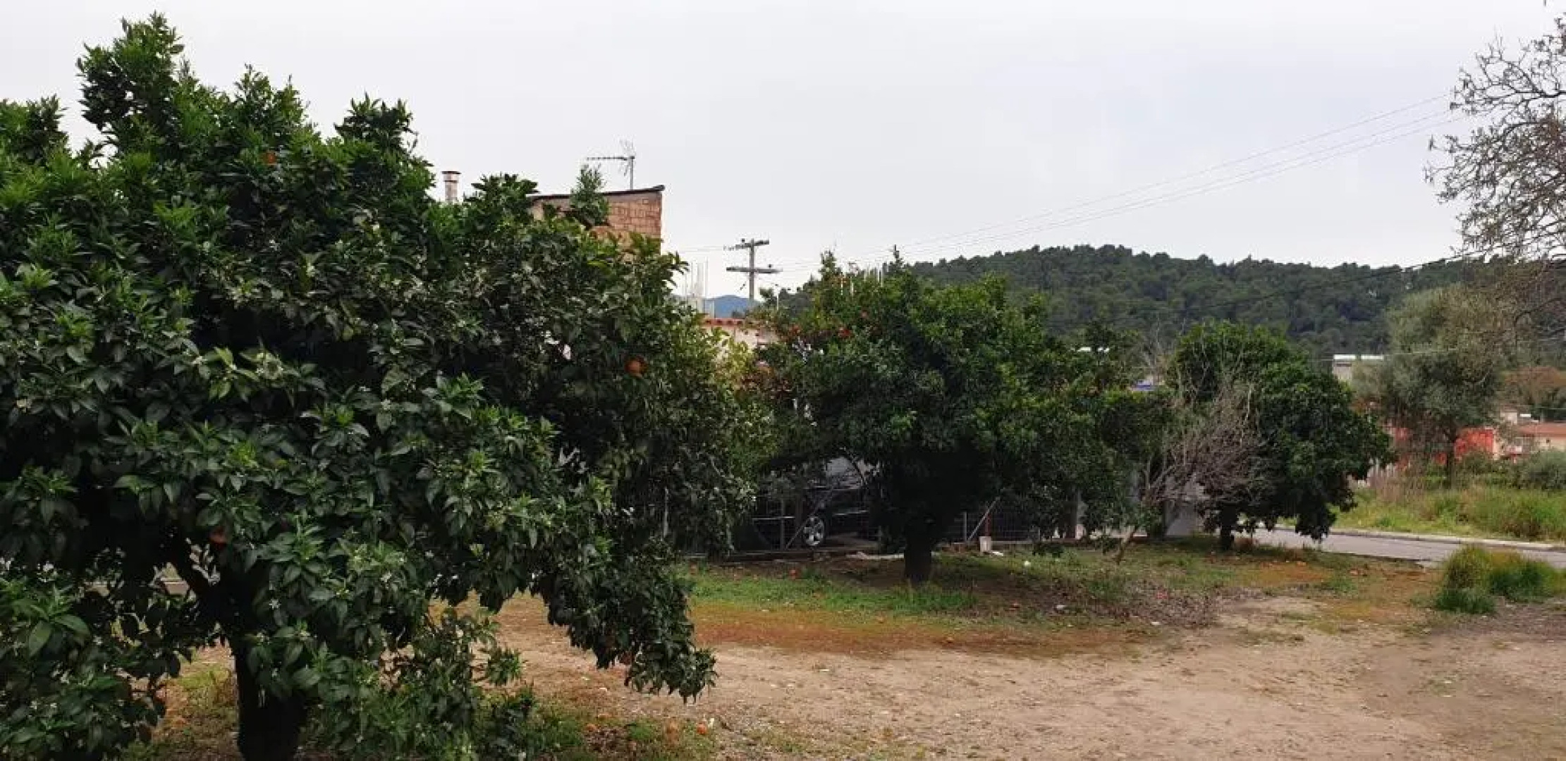 Walnut home apartment near Ancient Olympia