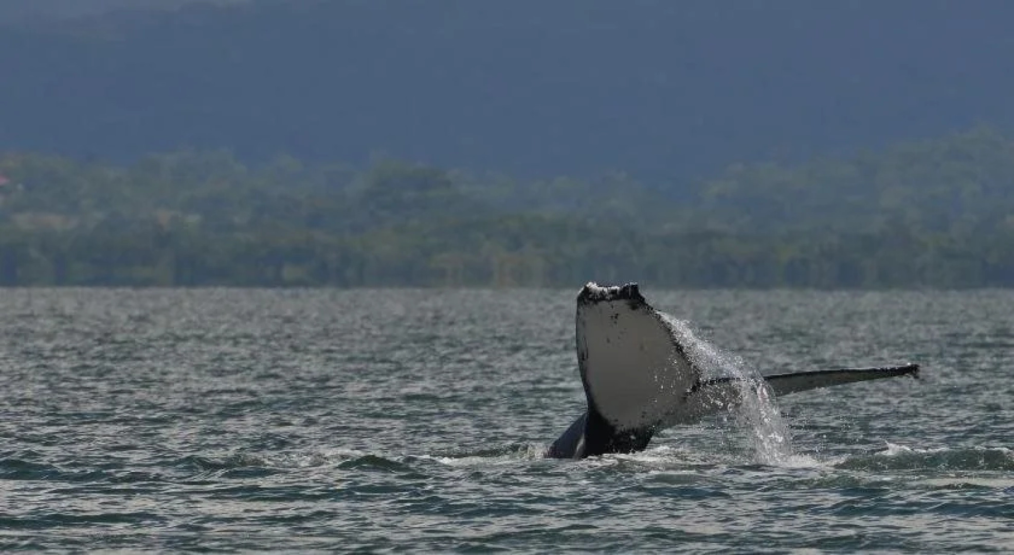 Apartamentos Herrera