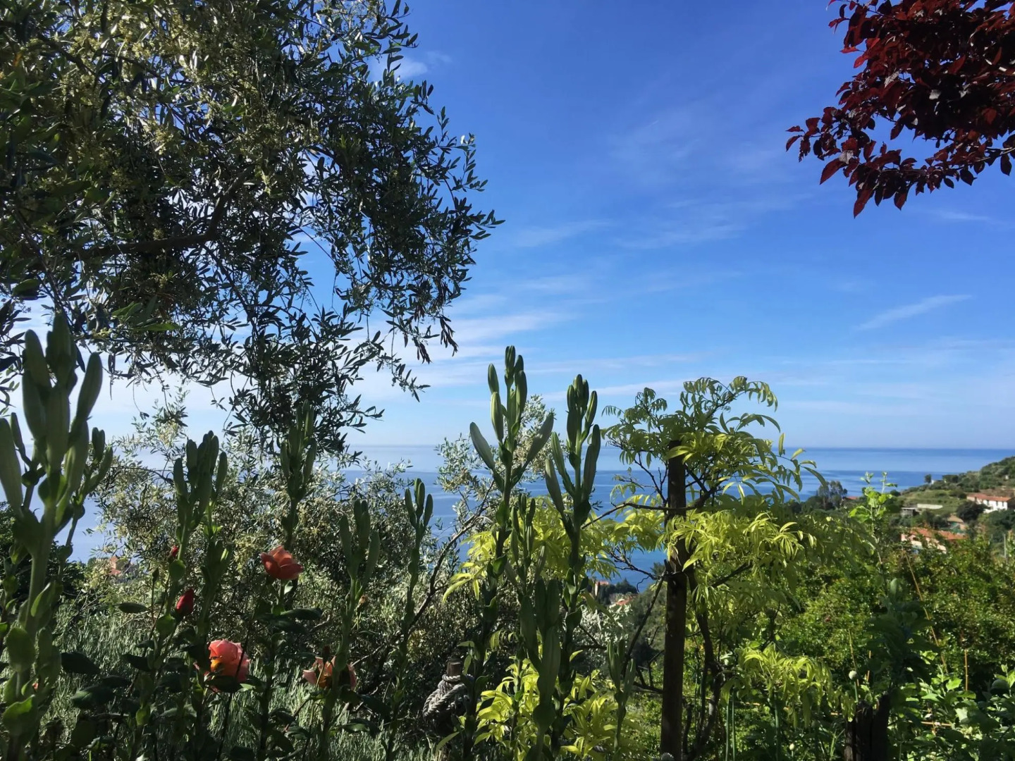 Belvilla by OYO Irene