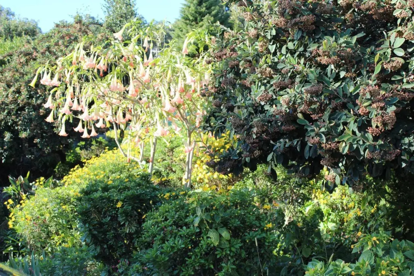 Casa dos Três Rapazes