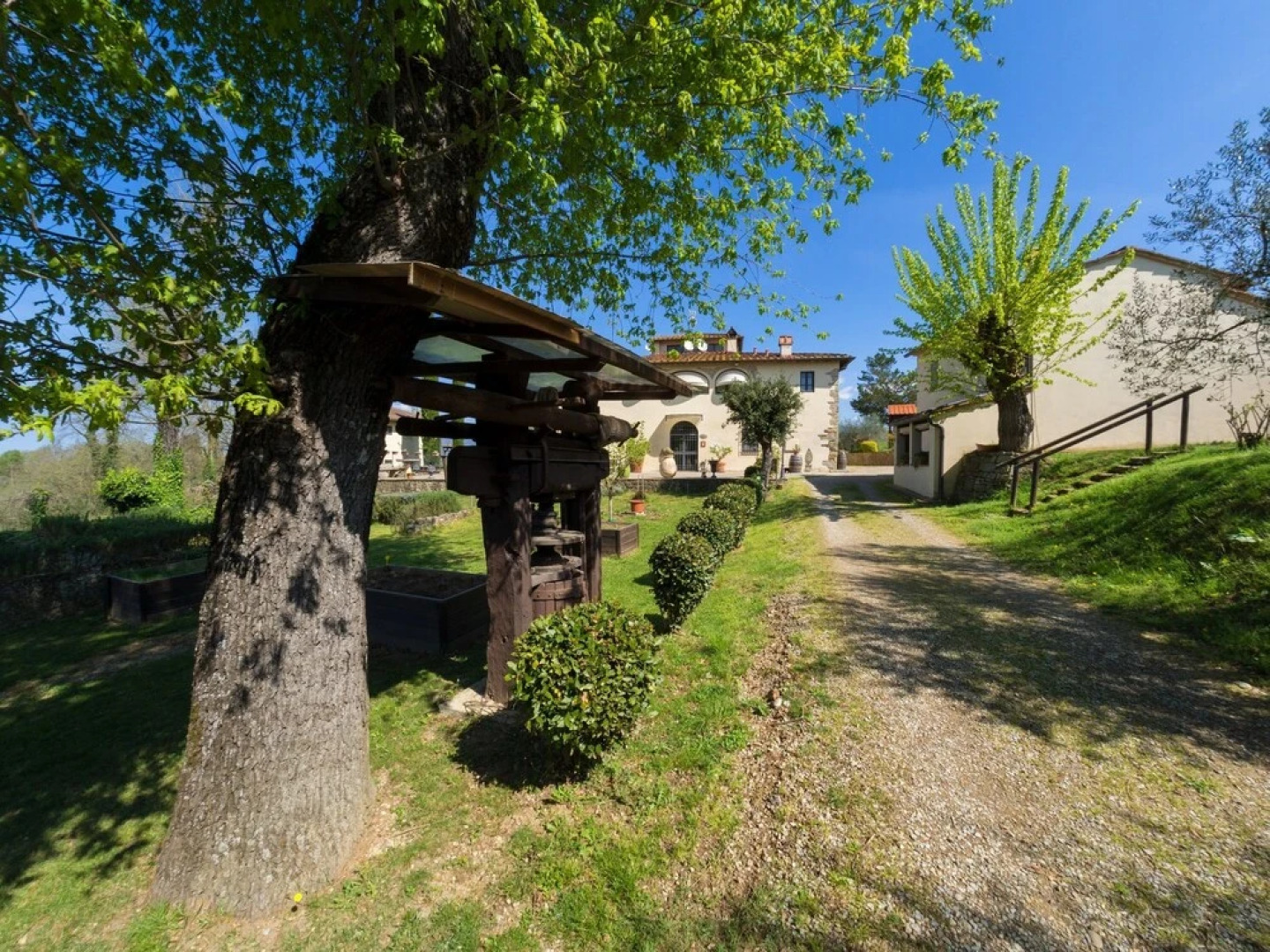 Il Pino Bioagricoltura