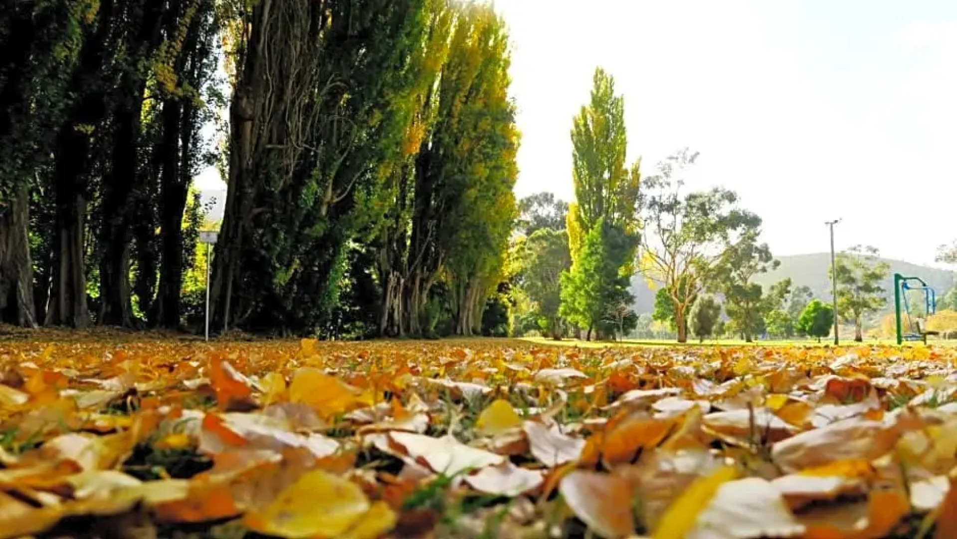 Junction Motel New Norfolk