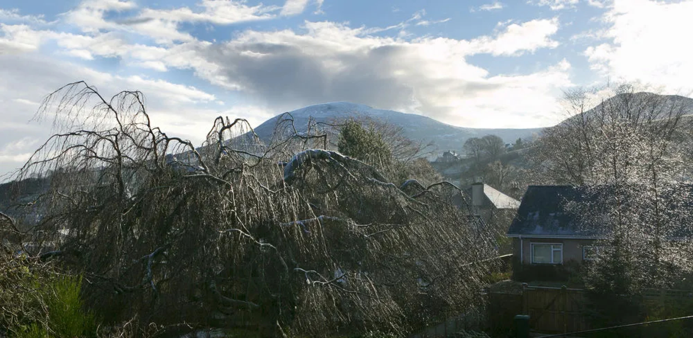 Eildonside