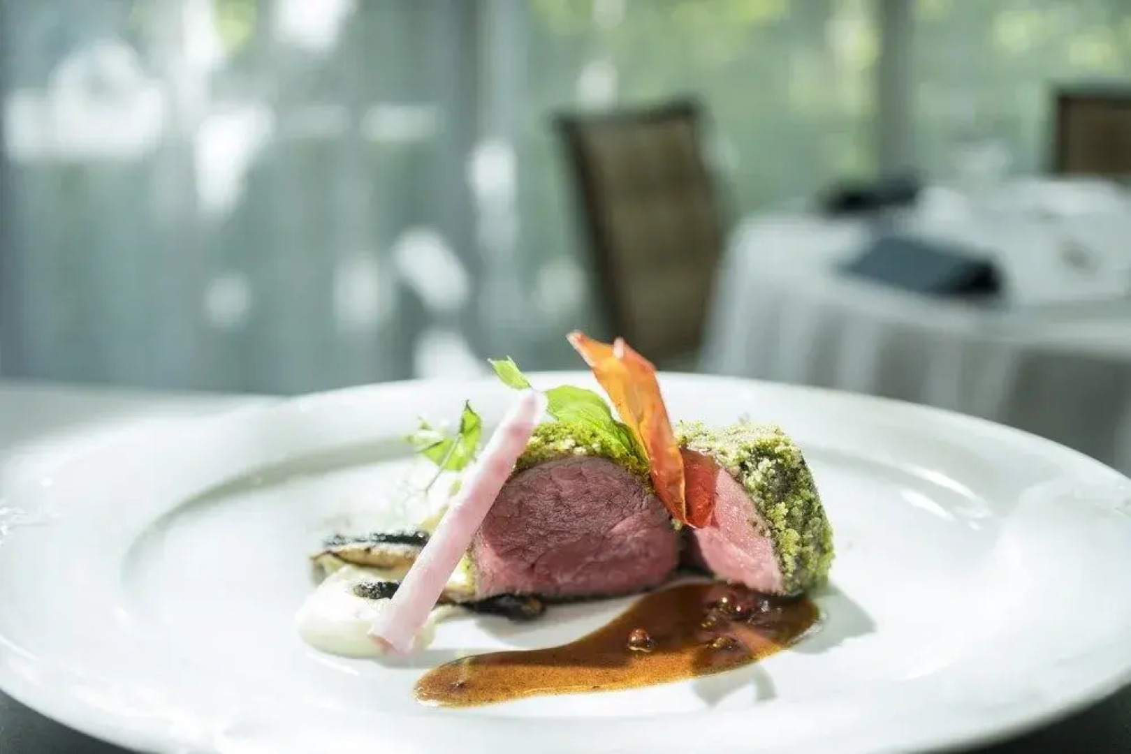 Spa Resort Tree of Life