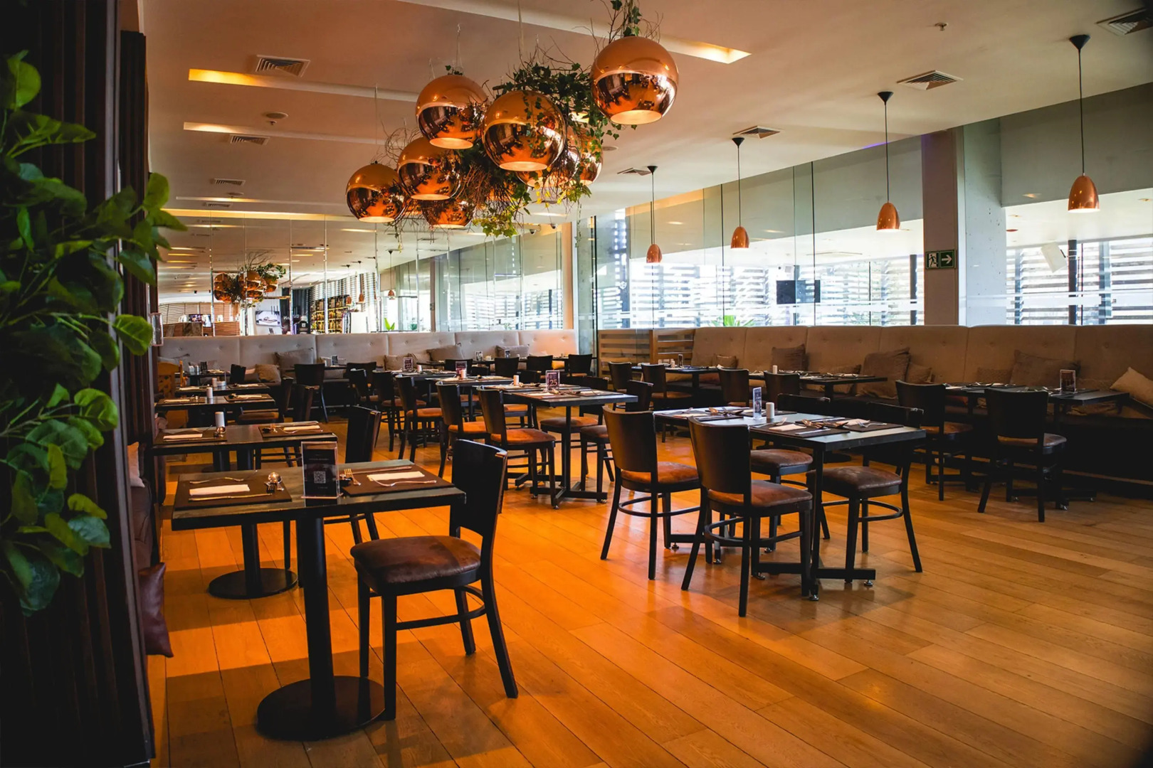 Wyndham Concepcion Pettra