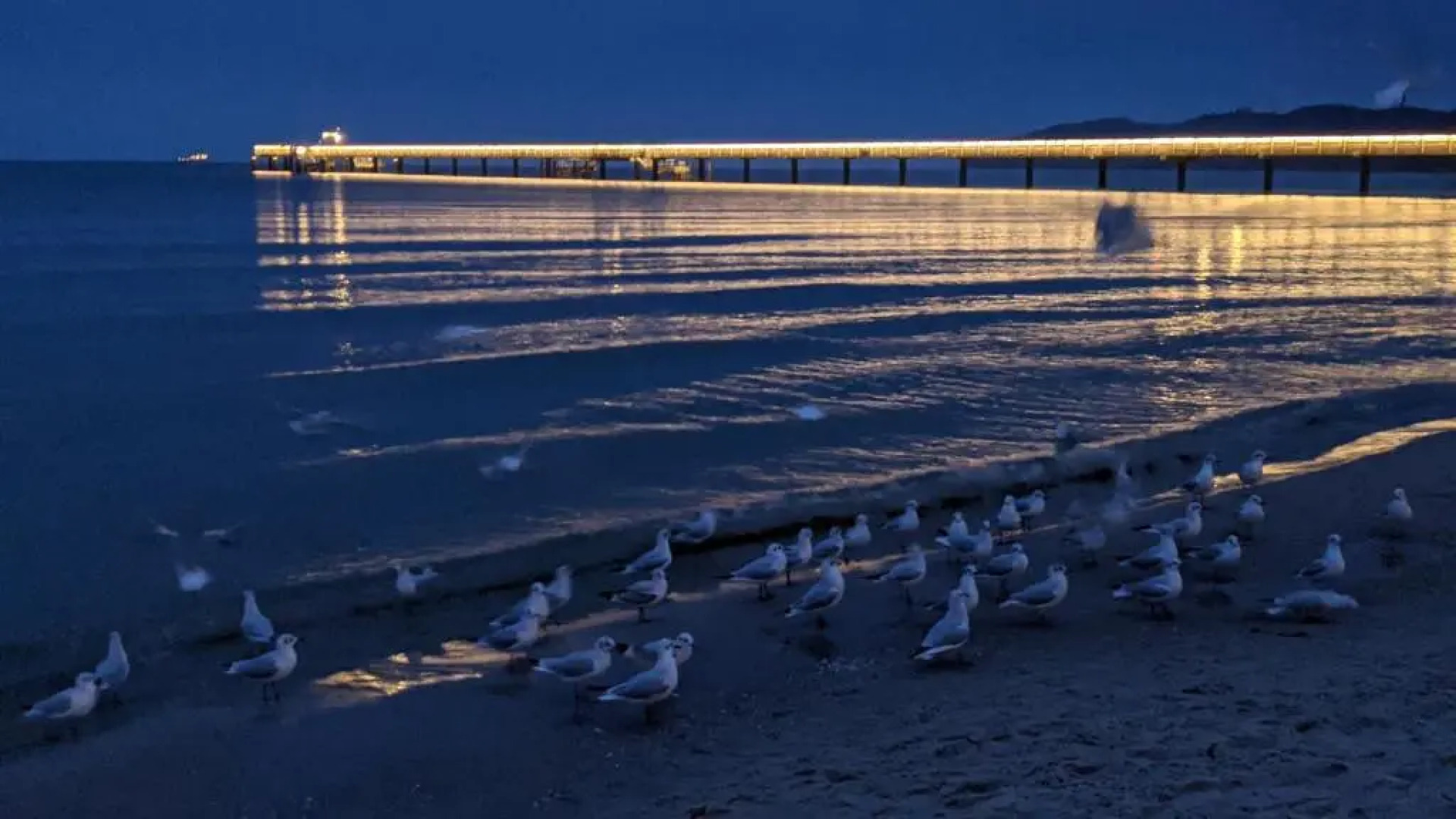 Ferienhaus Meeresrauschen