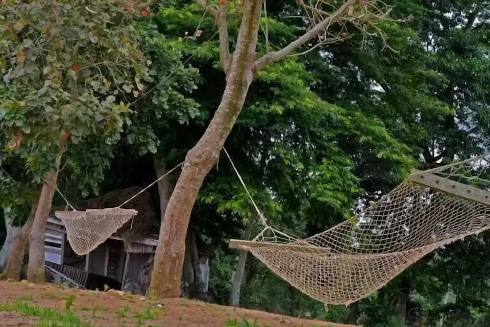 Saffron Beach Resort And Adventure Park